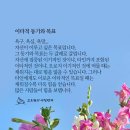 이타 Daum카페