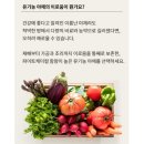 라벨디어스 유기농 채소 야채 블랜드 4종 후기