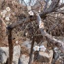 율곡천 3 이미지