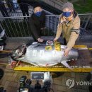 산참치 - 서구 이음대로 378 | 산참치