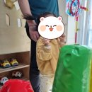 윈드콘