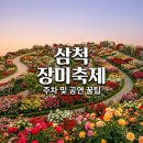 오십천둔치 | 2026 삼척 장미축제 주차 꿀팁과 가수 공연 일정 방문 후기