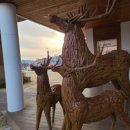 여주-0422 이미지