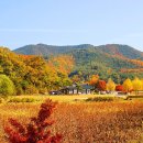 "모든 곳이 상상 이상의 풍경이네" 가을에 더욱 아름다워 지는 여행지 이미지