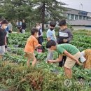 달고운청정사교마을 이미지