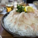 천수 | 잠실새내역 맛집 내돈내산 천수횟집 광어회 후기