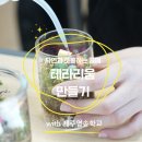제주영송학교 | 제주 테라리움 만들기 영송학교 공예이야기 제주출강