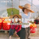 푸르른 농장 이미지