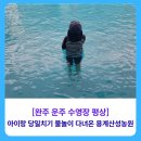 [완주 운주 수영장 평상] 아이랑 당일치기 물놀이 다녀온 용계산성농원 방문 후기