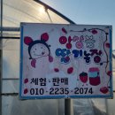 앙상블딸기농장 이미지