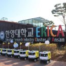 안산적재함