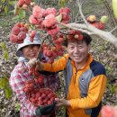 김광연 농장 이미지