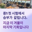 인천아라중학교 | 원당, 당하동수학전문학원 원당 페르마수학 중1 예비 Winter School | 겨울방학이 중등 3년을 바꿉니다
