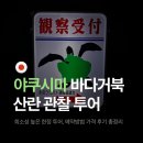 바다 그리고 달 | 야쿠시마 바다거북 산란 관찰 투어 예약방법 가격 후기 총정리