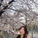 탑미샤화장품 | [2025.03-06] 놀러다니는 게 일입니다