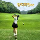 양지파인cc 후기 동코스 》 서코스 (feat. 골프보스톤백)