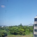 제주노른자부동산중개 이미지