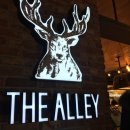 앨리(Alley) 이미지