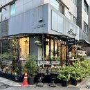 보나르떼디자인
