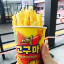 대천항건어물센터 이미지