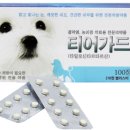 중앙대성약국 이미지