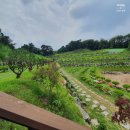 오산양지 이미지