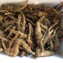 초리농장 이미지