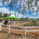 순천만 힐링 이미지