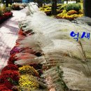컴친구 - 순천시 자경1길 10-73 | 컴친구