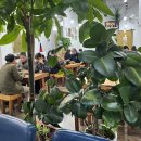 마녀김밥24시 이미지