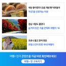 최고의 커피를 맛보고 싶다면 토모카 vs 칼디