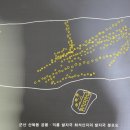 주식회사 산지 이미지