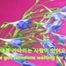 (주)키베이스 Daum카페