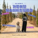 호반로 | 더스테이힐링파크 쁘띠프랑스 가평 볼거리 솔직후기