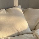 평생 다이어트식 이미지