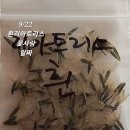 두콩 이미지