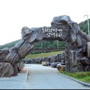 신선계곡야영장 이미지