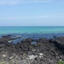 백세건강원 이미지