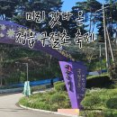 개막 전 미리 다녀온 정읍 구절초 축제, 실제로 가보니 이랬다