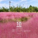 블랜드미(BLENDMI) 이미지