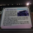 해다미펜션 - 14064 | 해다미펜션
