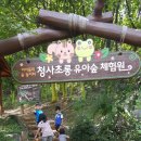 청사초롱 유아숲체험원 이미지