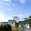 백운로 | 인천 영종도 애견동반 드라이브 대형 카페 그리너리바스켓 후기