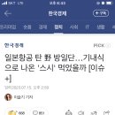 일본항공 탄 野 방일단…기내식으로 나온 '스시' 먹었을까 [이슈+] 이미지