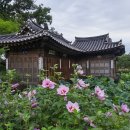(자)신*사 이미지