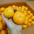 오서방네 농장 이미지