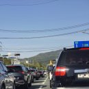 동경농장 | 부산 금정구 가볼만한곳] 국내 최대 좌불상이 있는 '홍법사' 방문 후기