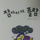 플람