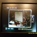 황제자동차