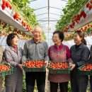 서린농장 이미지